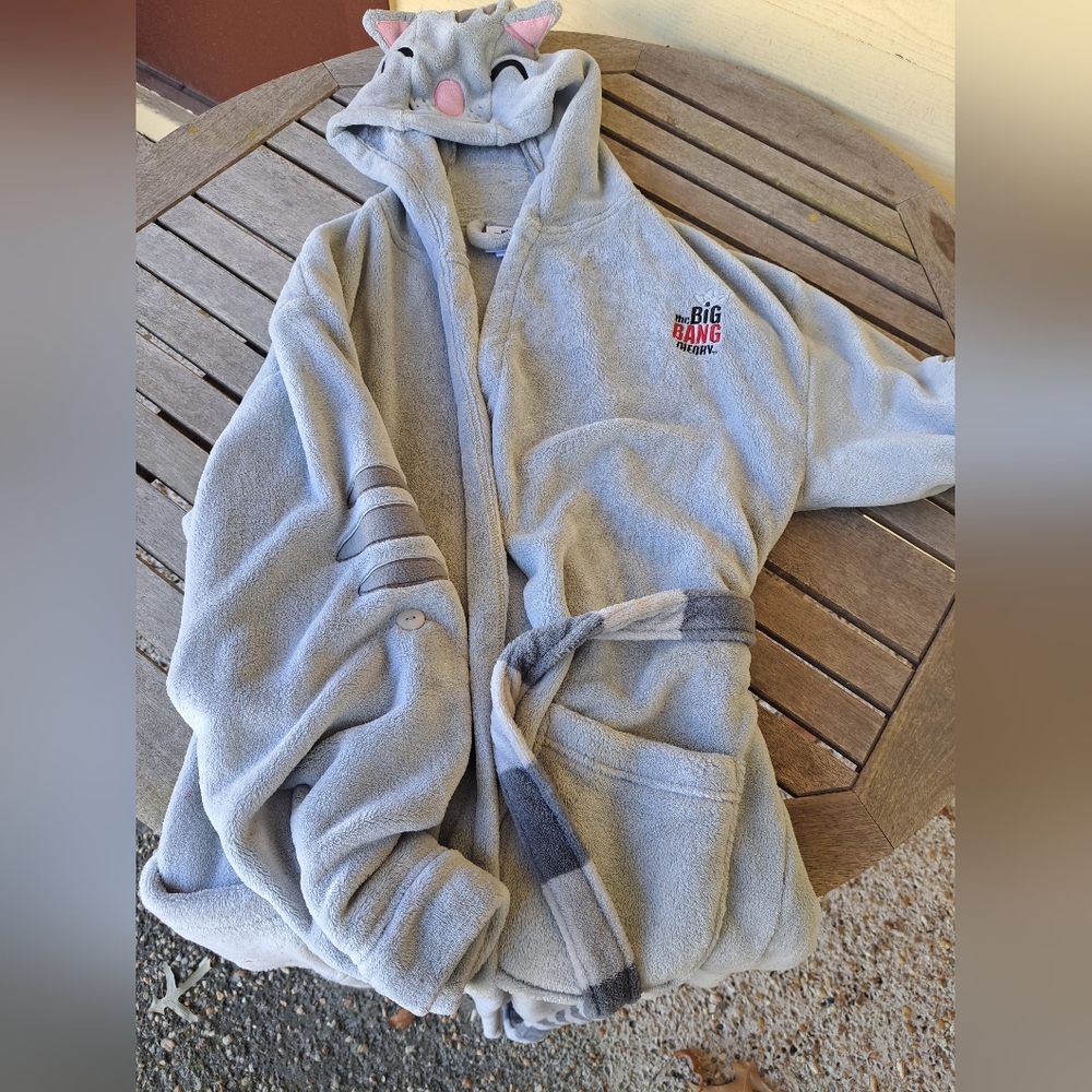 Big Bang Theory Robe - image 1